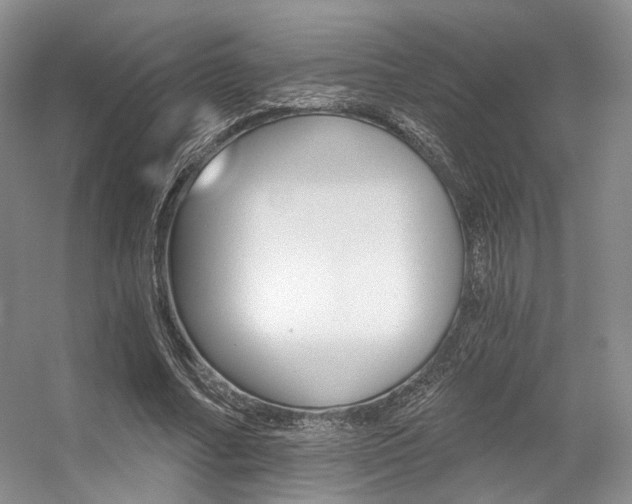 X0000056360682200508260946