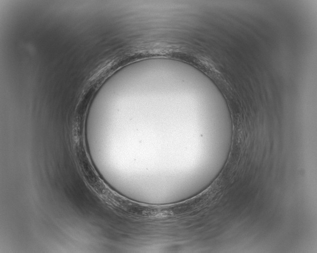 X0000056360683200508260946