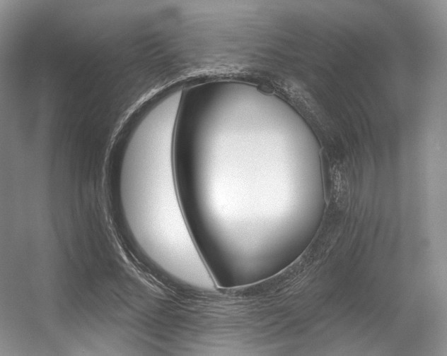 X0000056360684200508260946