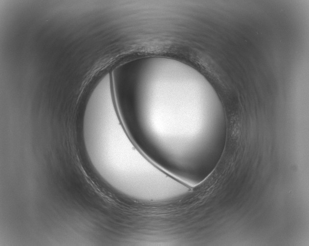 X0000056360685200508260946