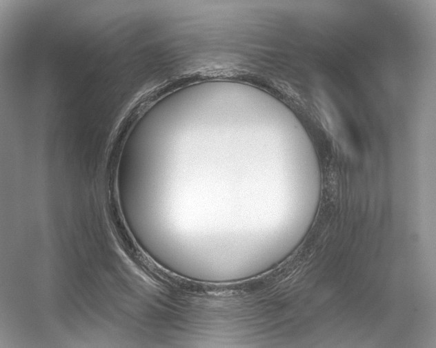 X0000056360686200508260946