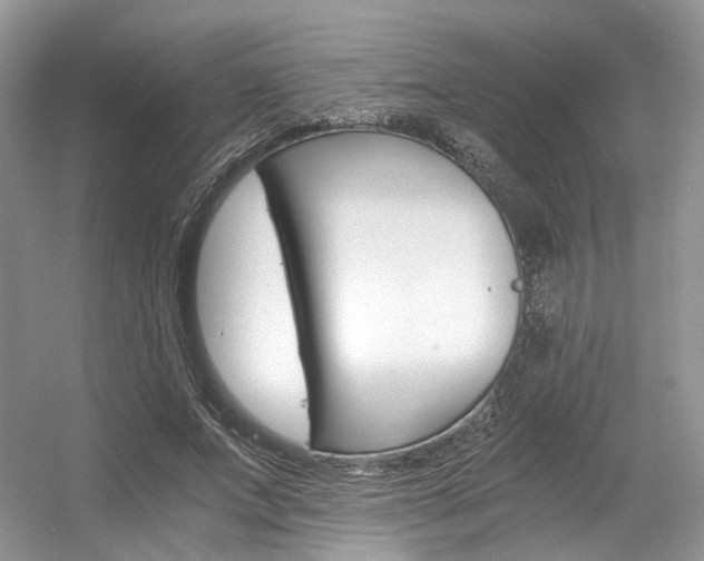 X0000056360687200508260946