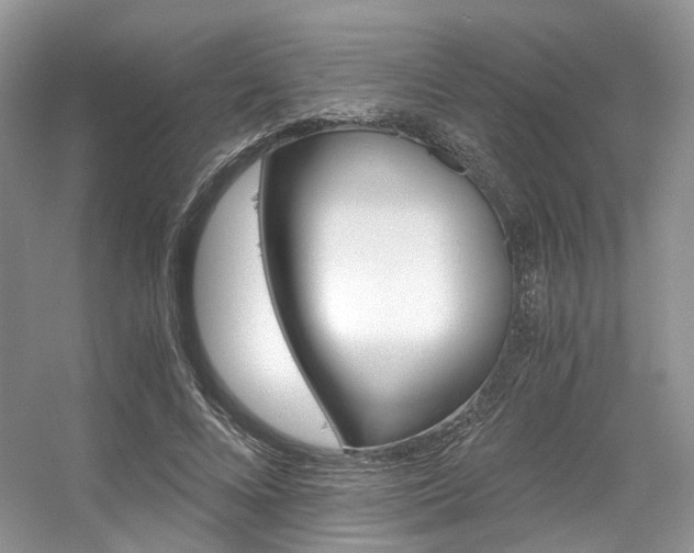 X0000056360688200508260946