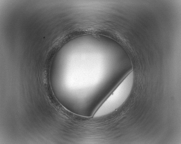 X0000056360689200508260946