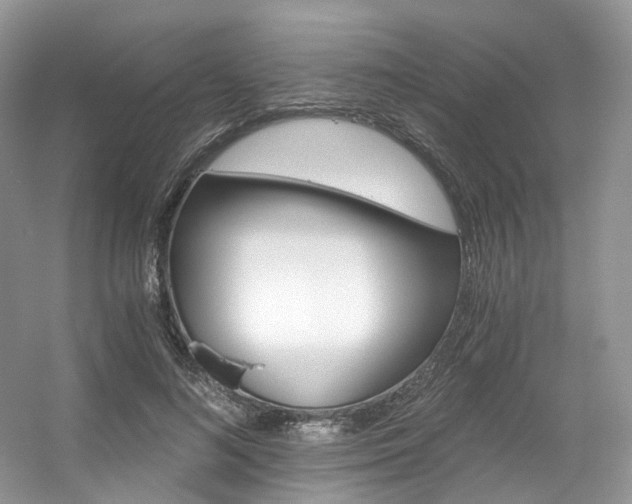 X0000056360692200508260946