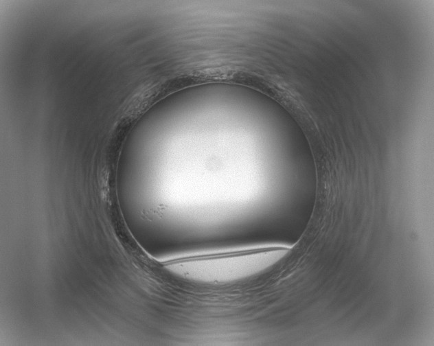 X0000056360693200508260946