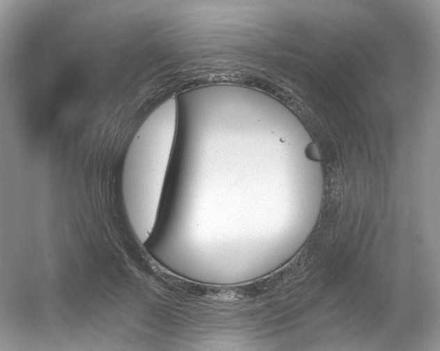 X0000056360695200508260946