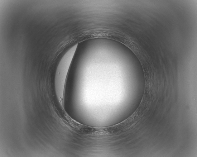 X0000056360696200508260946