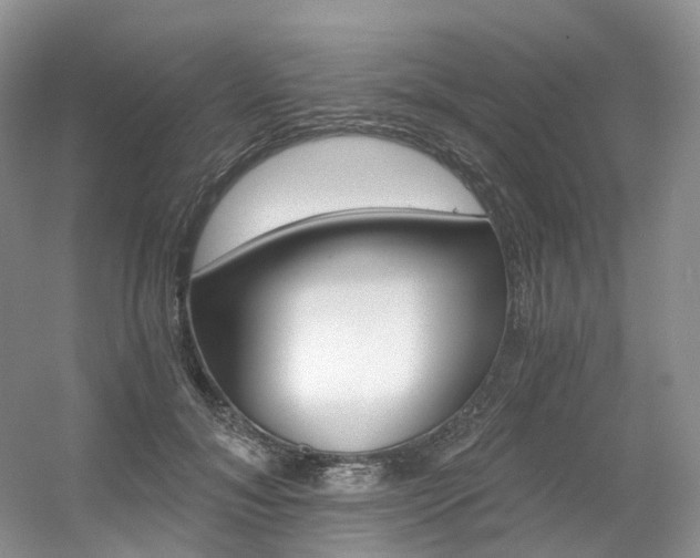 X0000056360700200508260946