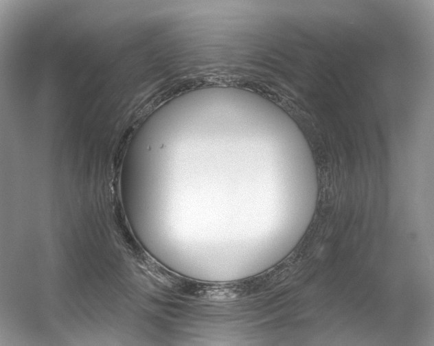 X0000056360702200508260946