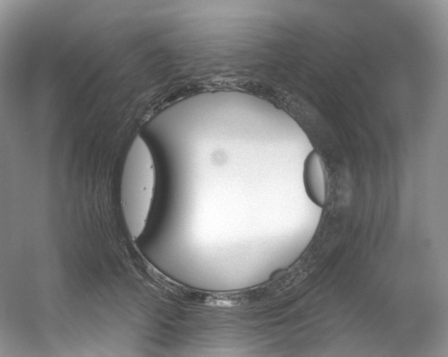 X0000056360706200508260946