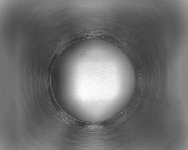 X0000056360708200508260946