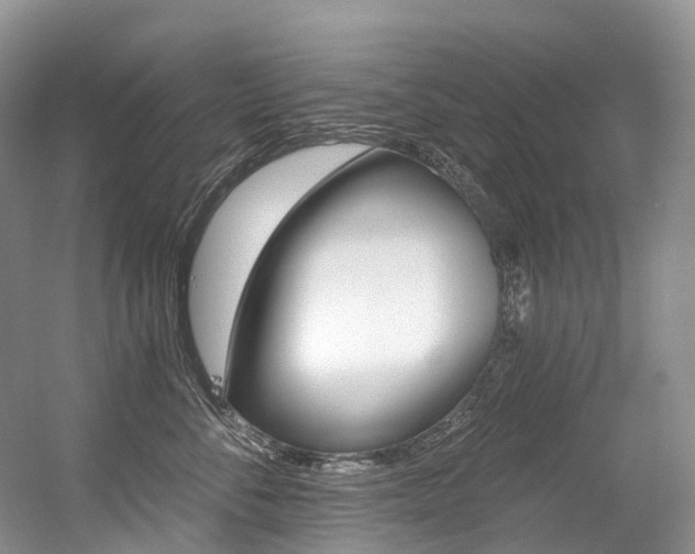 X0000056360716200508260946