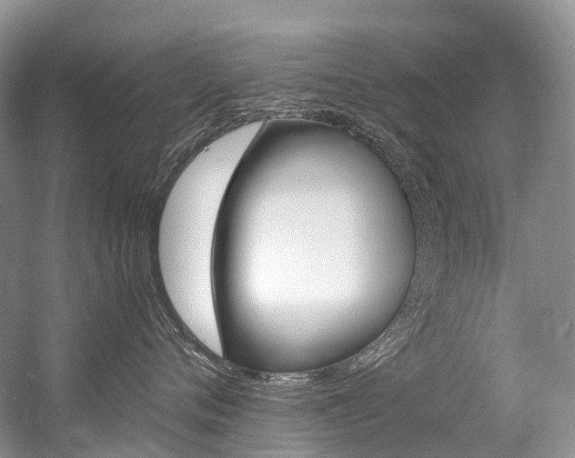 X0000056360720200508260946