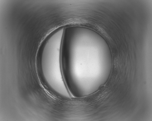 X0000056360722200508260945