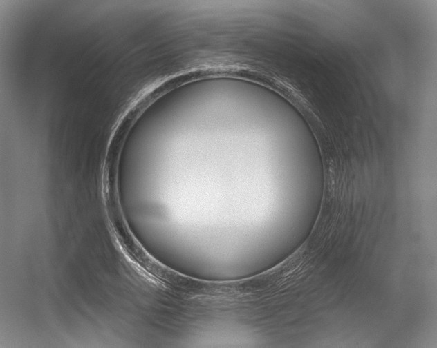 X0000056360726200508260945