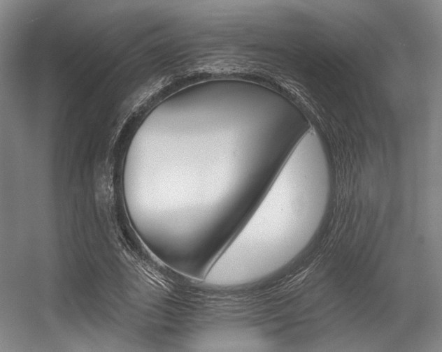 X0000056360727200508260945