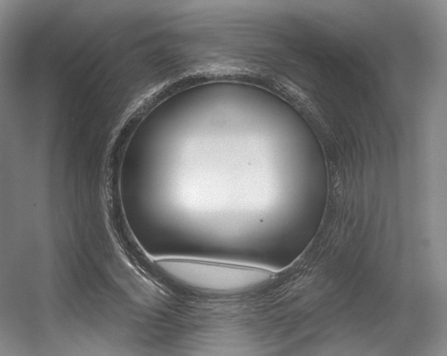 X0000056360732200508260945