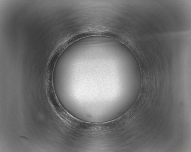 X0000056360736200508260945
