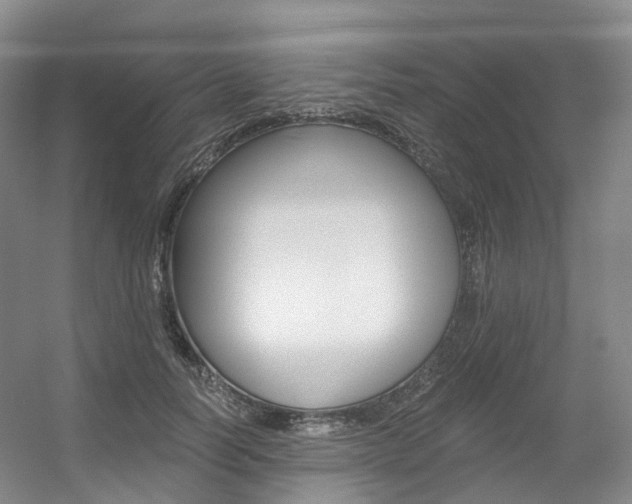 X0000056360746200508260945