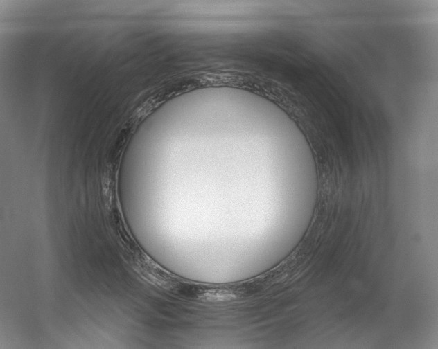 X0000056360749200508260945