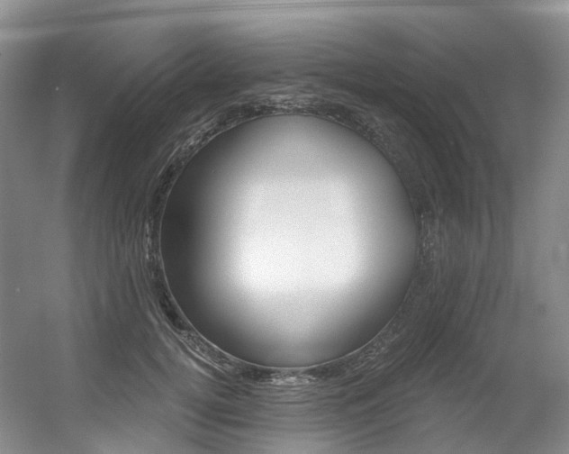 X0000056360752200508260946