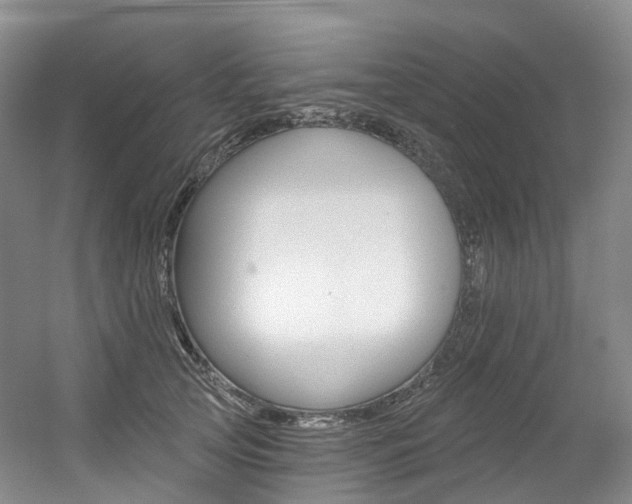X0000056360753200508260946