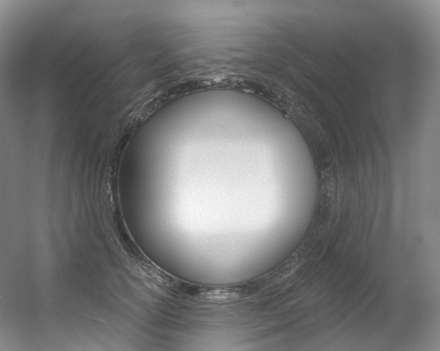 X0000056360754200508260946