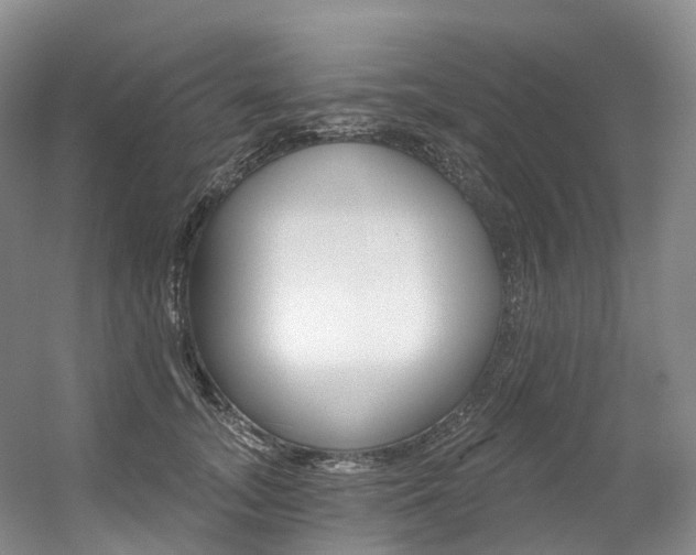 X0000056360755200508260946
