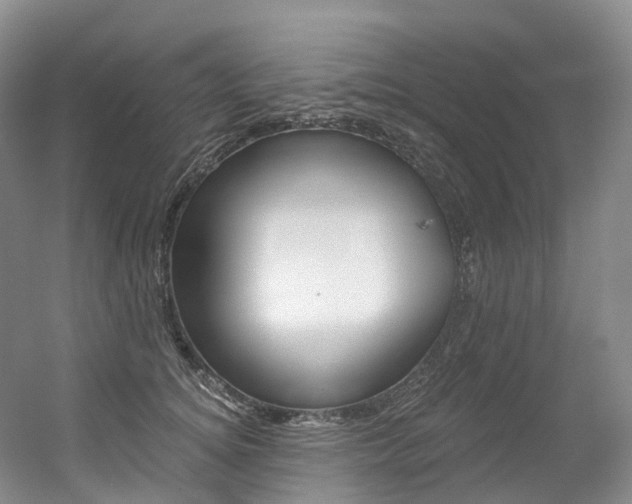 X0000056360756200508260946