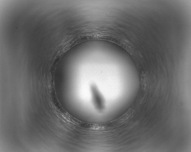 X0000056360760200508260946