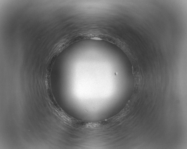 X0000056360762200508260946
