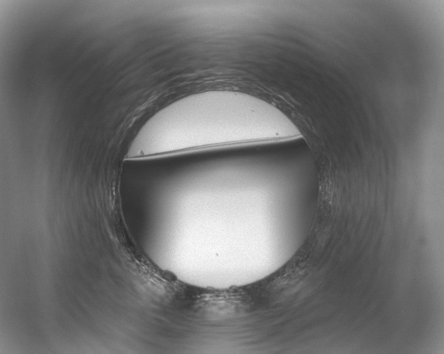 X0000056360763200508260946