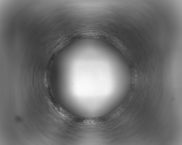 X0000056360764200508260946