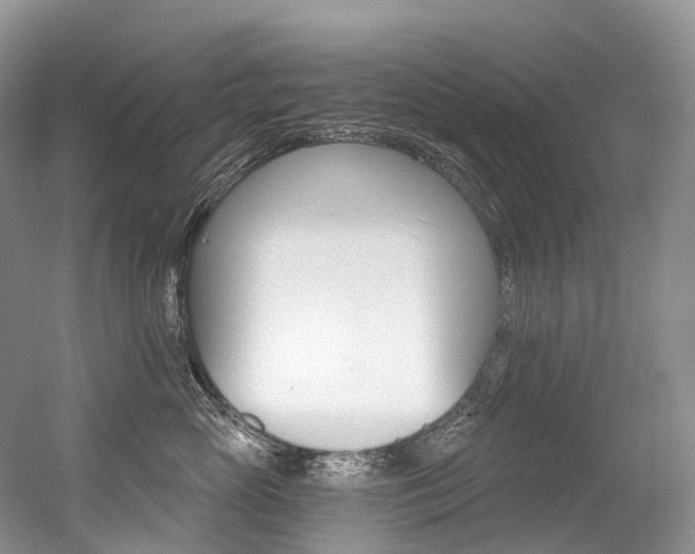 X0000056360765200508260946