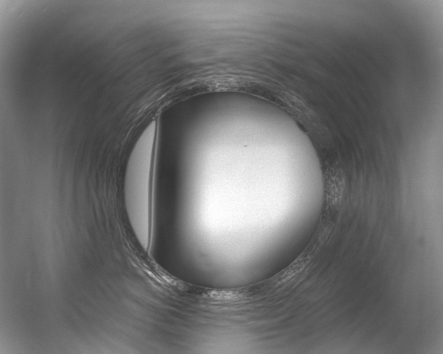 X0000056360766200508260946