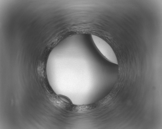 X0000056360767200508260946