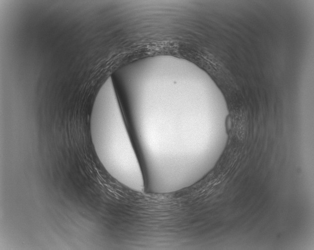 X0000056360770200508260945