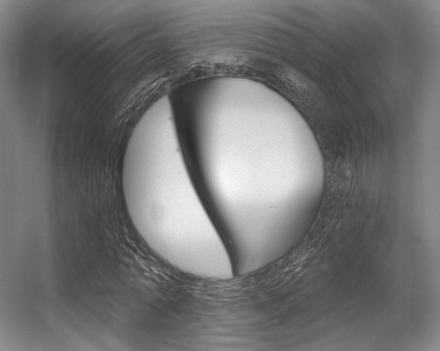 X0000056360774200508260945