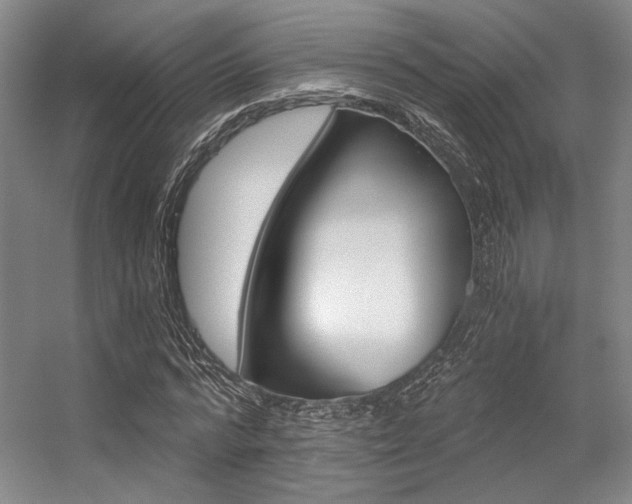 X0000056360776200508260945