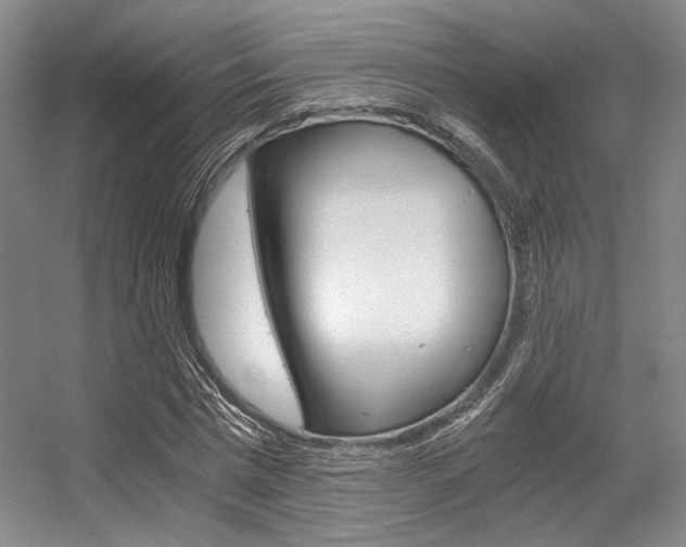 X0000056360777200508260945