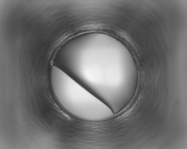 X0000056360778200508260945