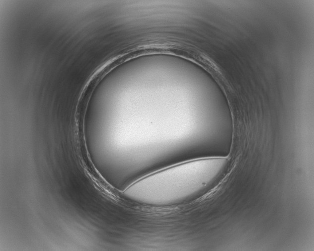 X0000056360779200508260945