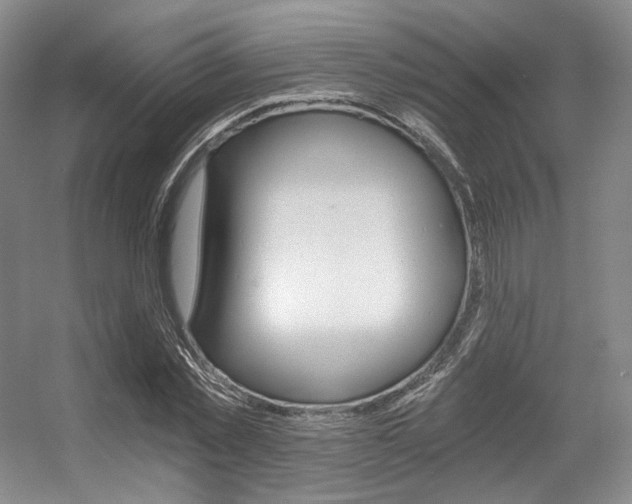 X0000056360781200508260945