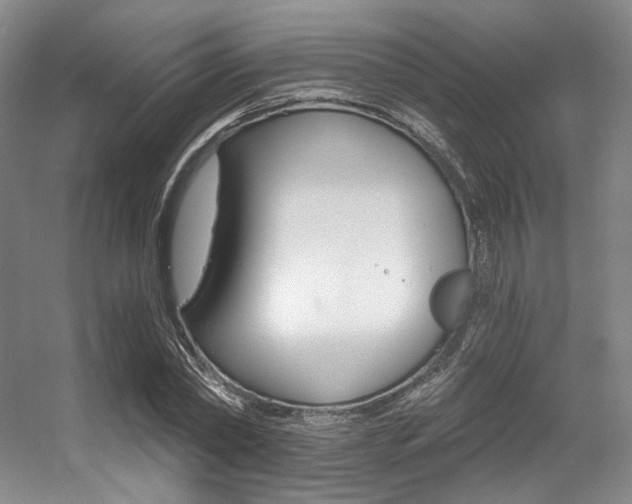 X0000056360782200508260945
