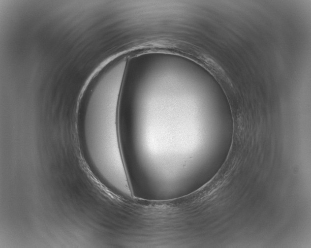 X0000056360784200508260945