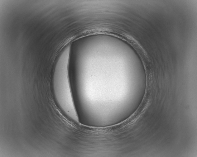 X0000056360785200508260945