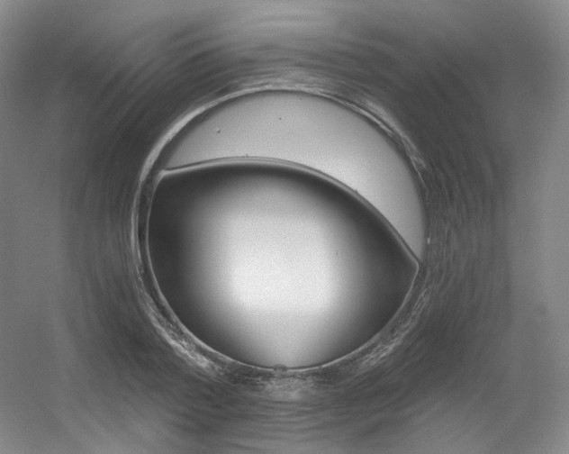 X0000056360788200508260945