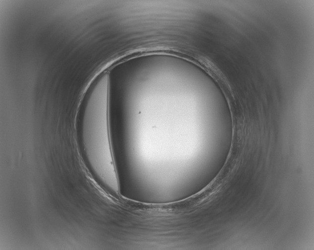 X0000056360789200508260945