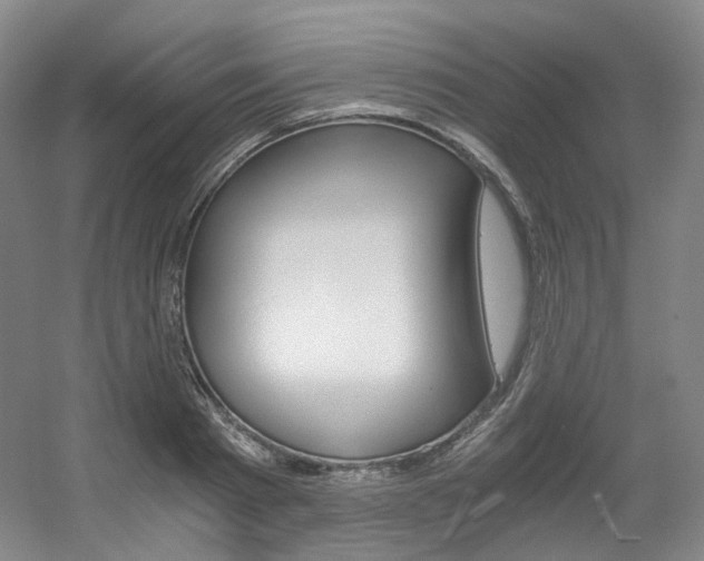 X0000056360793200508260945